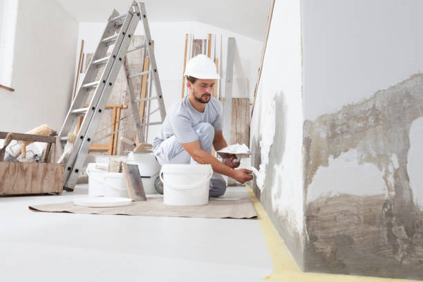 Best Drywall Removal and Disposal  in Sumner, IL