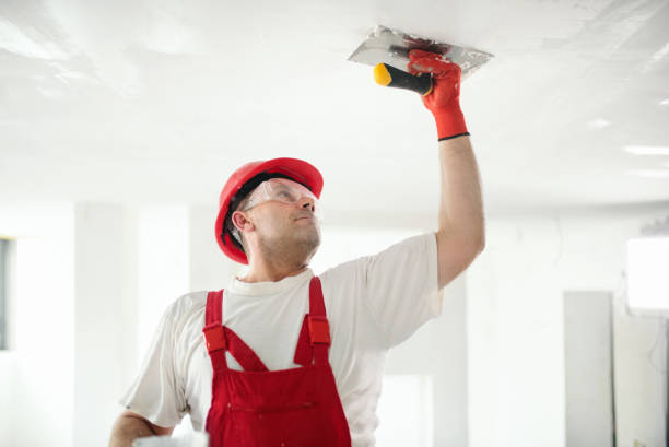 Best Drywall Finishing  in Sumner, IL