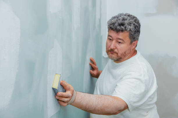 Best Drywall Sanding and Smoothing  in Sumner, IL